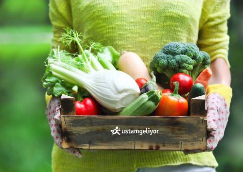 organik meyve sebzeler ustamgeliyor.jpg