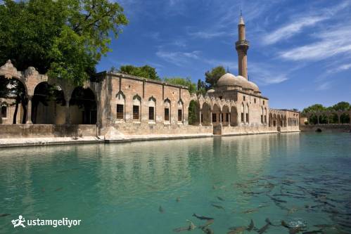 şanlıurfa ustamgeliyor.jpg