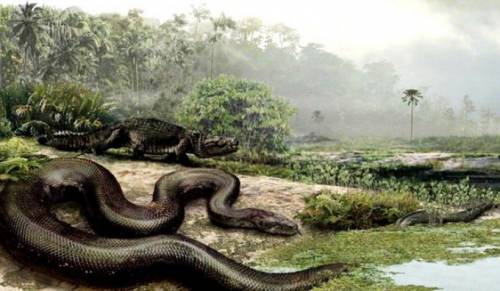 Titanoboa.jpg