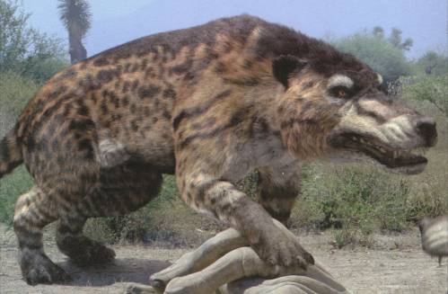 Andrewsarchus.jpg